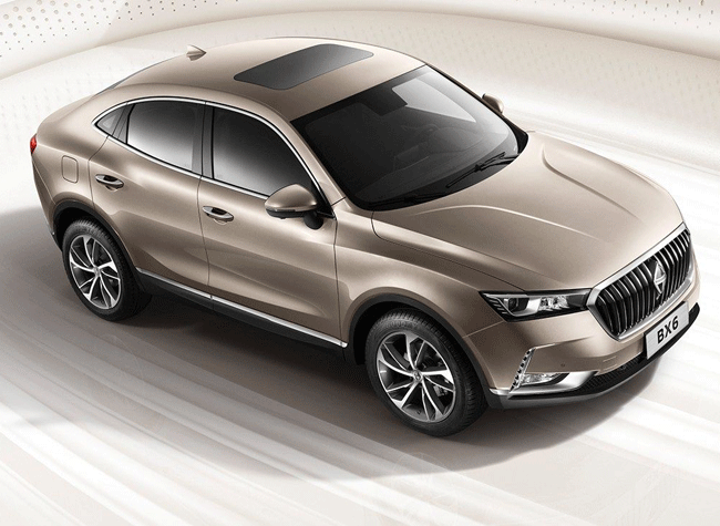 بورگوارد BX6